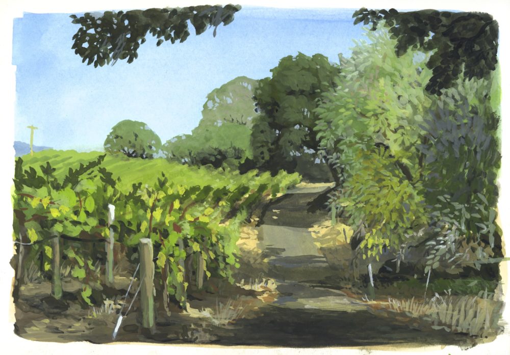 vineyard gouache