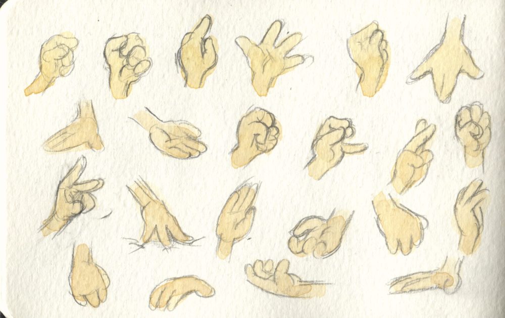 cartoon hand studies
