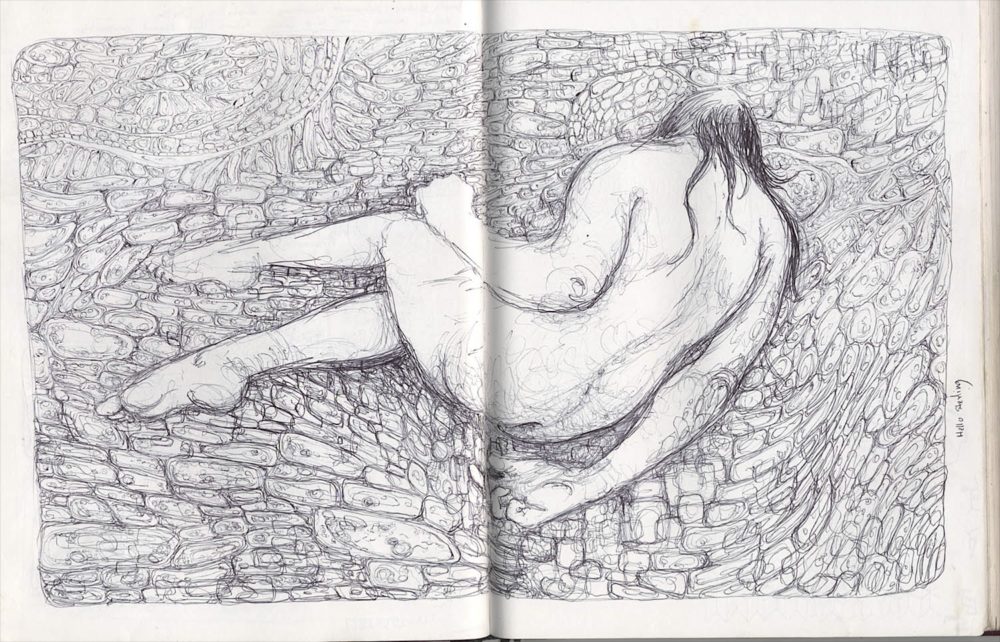 nude female figure drawing