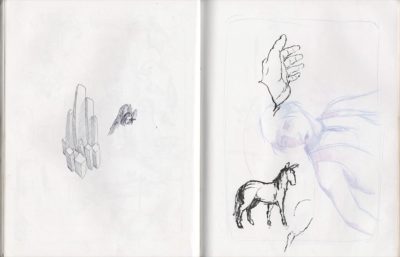 hand and horse