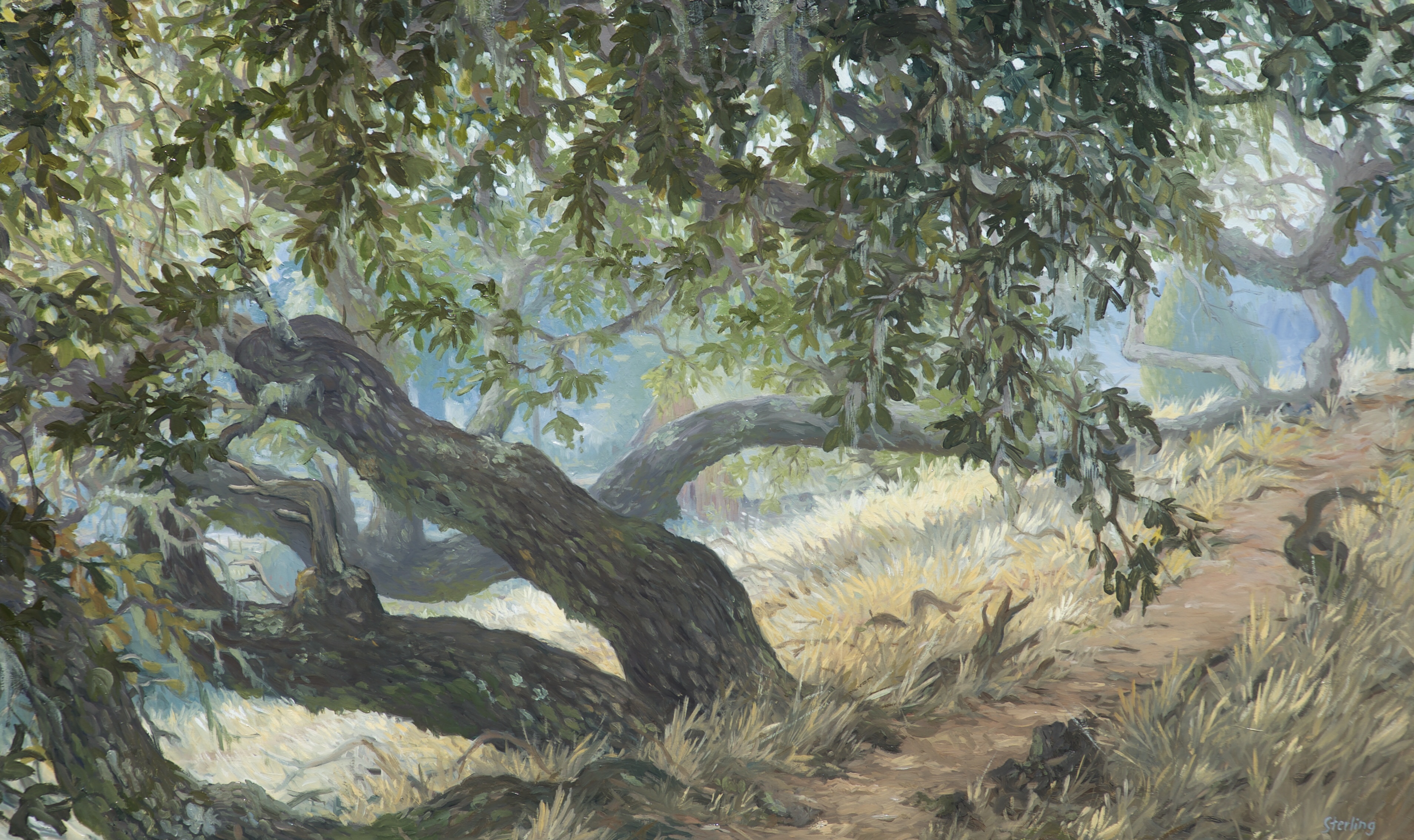 Oak tree and Red Barn oil painting by Sterling Sheehy