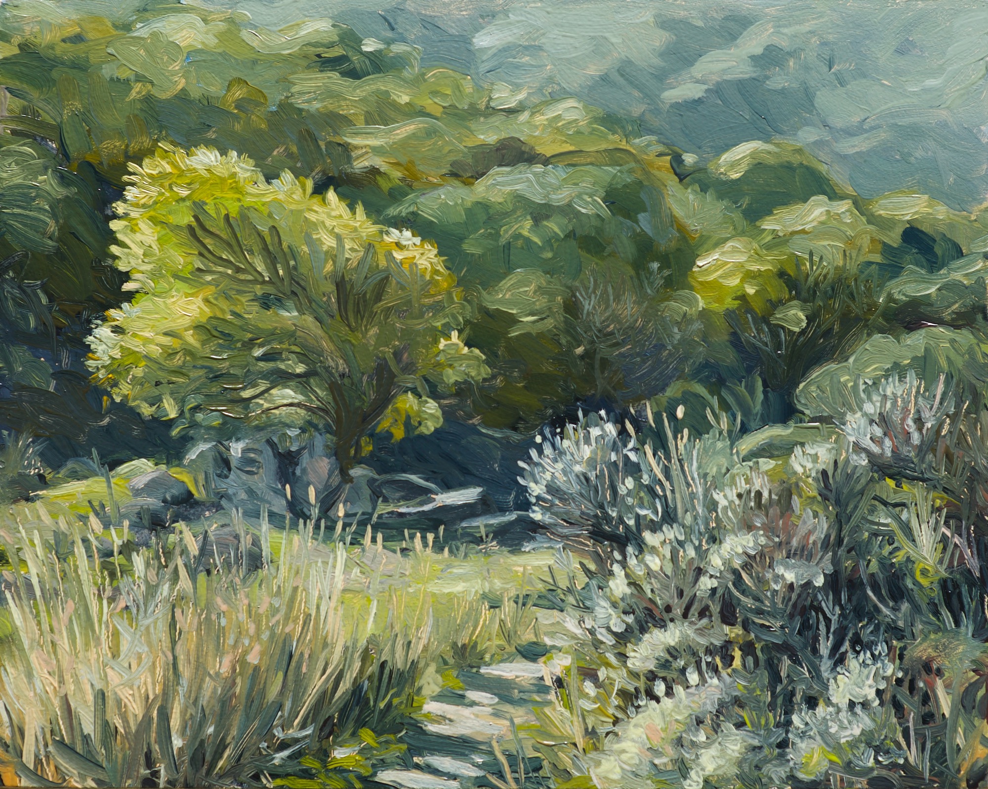 alla prima plein air oil painting by Sterling Sheehy